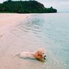 beachmom0925